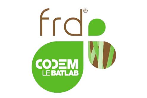 Logo CODEM/FRD