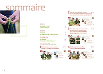 Sommaire